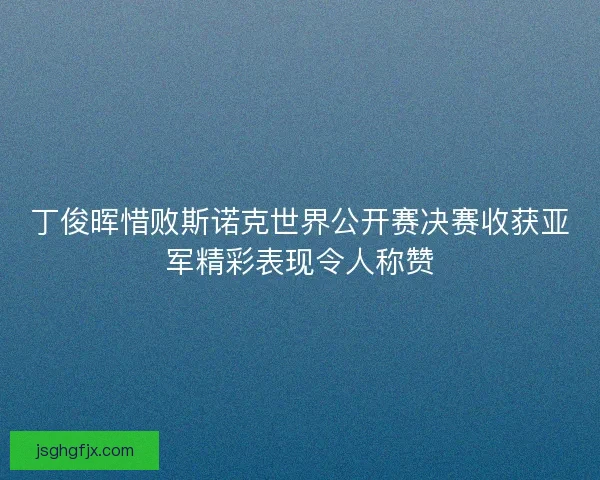 丁俊晖惜败斯诺克世界公开赛决赛收获亚军精彩表现令人称赞